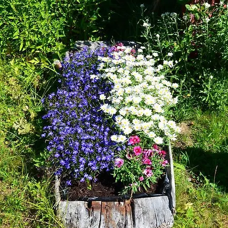 Tunold Gard - Gamle Huset * Mindresunde