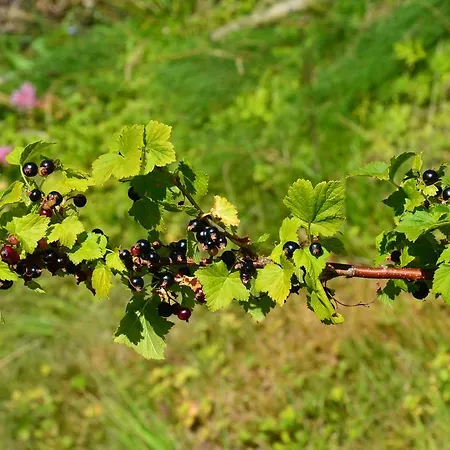 Tunold Gard - Gamle Huset Casa de Férias